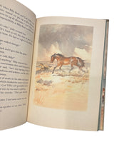 The Red Pony  - 1945 First Illustrated - Steinbeck/Wesley Denis