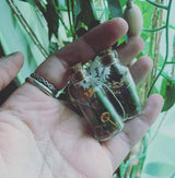 Mushroom Apothecary Jar