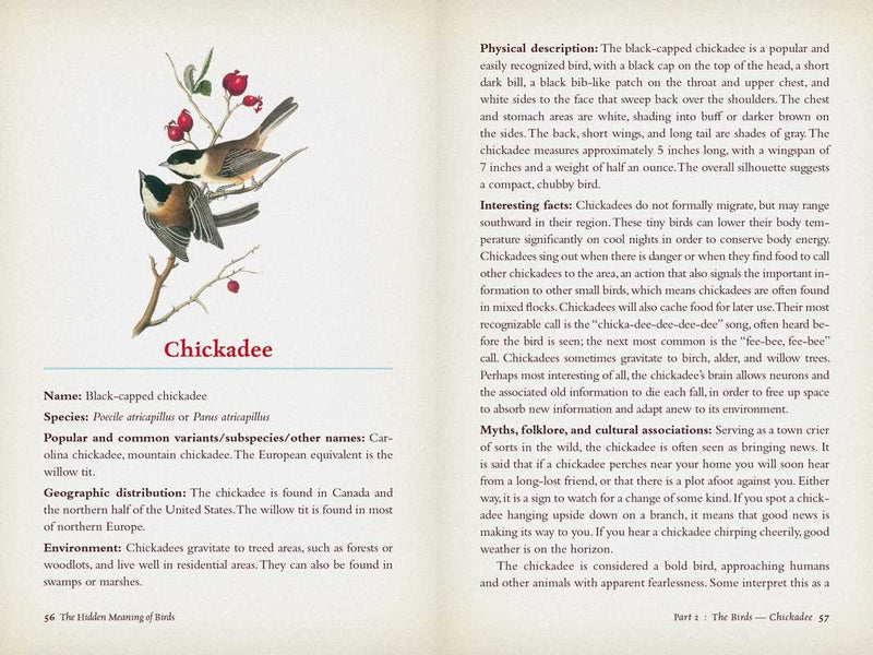 Hidden Meaning of Birds--A Spiritual Field Guide by Arin Murphy-Hiscock
