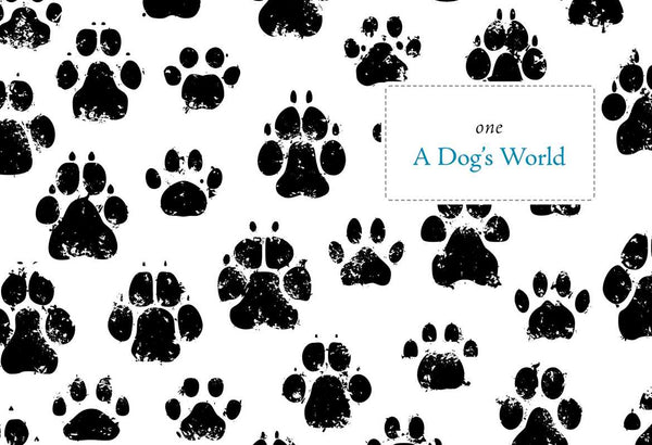 Dog Blessings by June Cotner: Hardcover; 160 pages / English