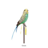 Amma the Budgie