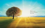Trees by Tony   Johnston: Hardcover; 40 pages / English