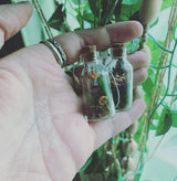 Mushroom Apothecary Jar