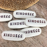 Pocket Meditation - Kindness