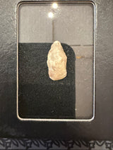 Assorted Arrowheads and Points - Cigar Box Collection / C 1 - 12