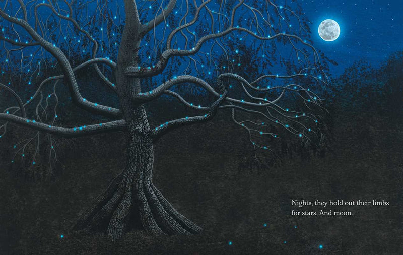 Trees by Tony   Johnston: Hardcover; 40 pages / English