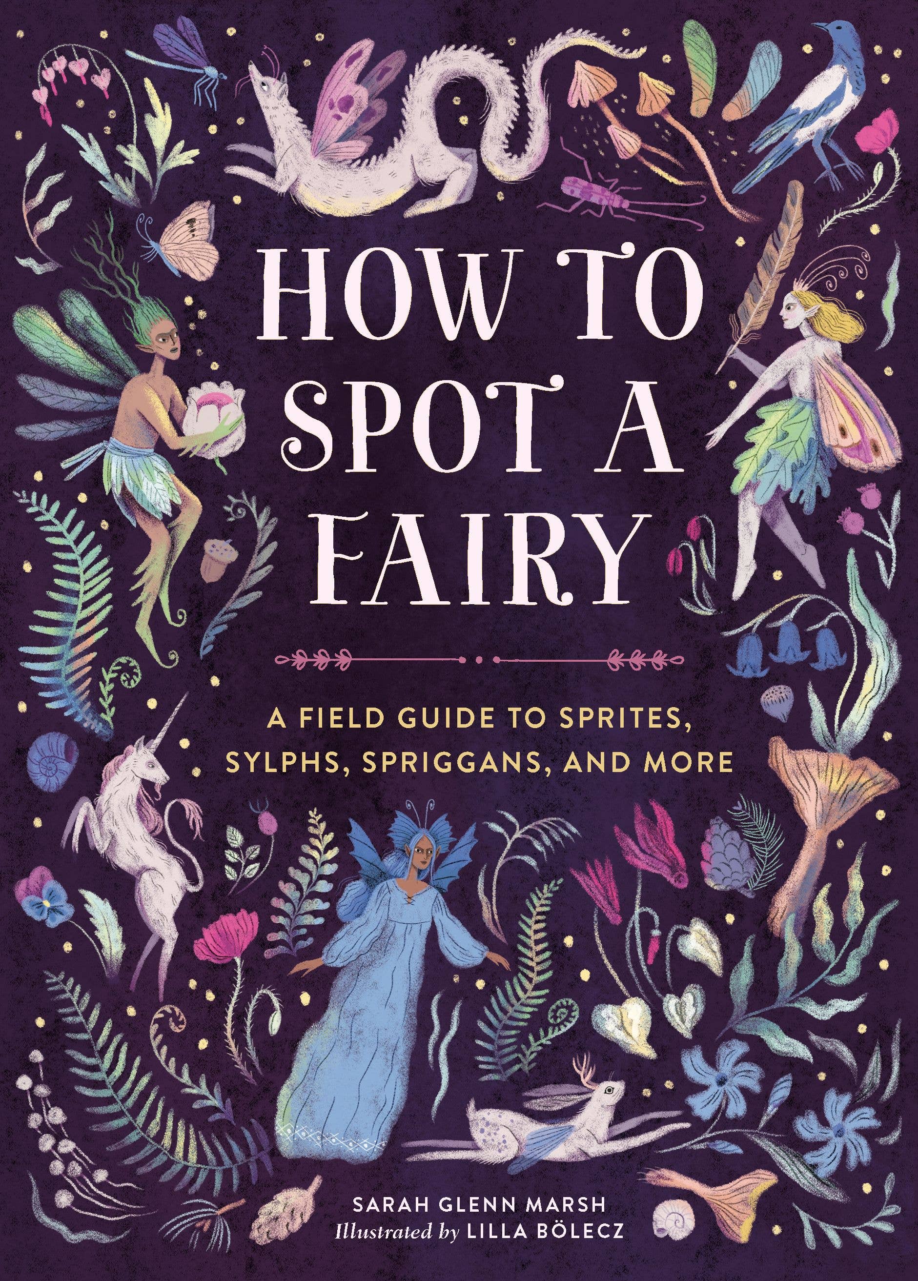 How to Spot a Fairy – The Wayfinder Society