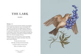 Ornithography by Jessica Roux: Hardcover; 224 pages / English