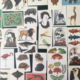Vintage Styled Animal Postcards Beautiful Illustrations| Set: 10