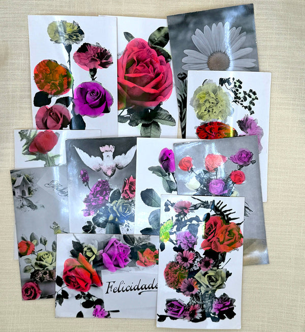 Hand Tinted Vintage Flower Photo Postcards