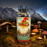 Olde Saint mushroom Nick Vintage Victorian Christmas Tea