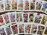 Flower Fairy Postcard