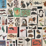 Vintage Styled Animal Postcards Beautiful Illustrations| Set: 10