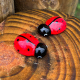 Ladybugs are Lucky