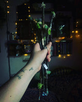 Fairy Forest Witch Wand