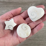 Shiva Shell