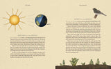 Wheel of the Year by Fiona  Cook: Hardcover; 256 pages / English