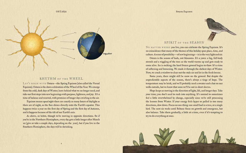Wheel of the Year by Fiona  Cook: Hardcover; 256 pages / English
