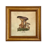 Lepista Nuda Framed Print