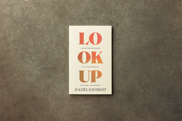 Look Up (book)