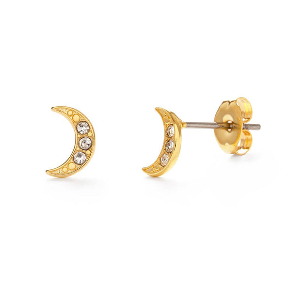 Chandra Studs