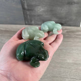 Freddi the Aventurine Frog