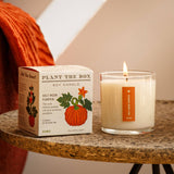Half Moon Pumpkin - Plant the Box Candle - 9oz.