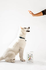 Flower Power Cookies - All Natural, Organic Dog Treats