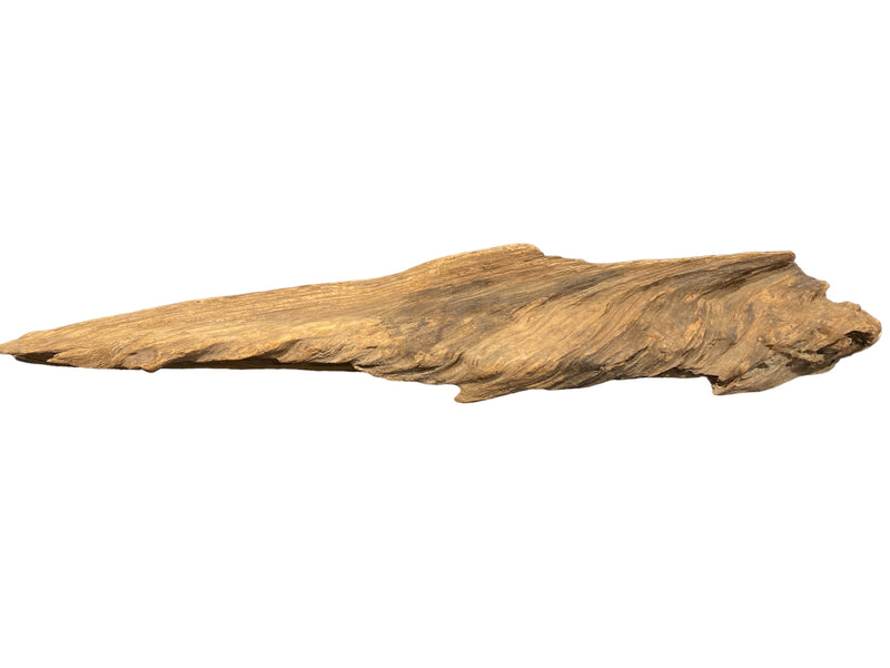 Driftwood - (with) Multiple Personalities