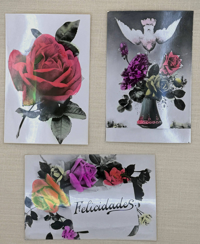 Hand Tinted Vintage Flower Photo Postcards