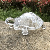 Tina the Crystal Tortoise