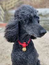 Collar Bell - Black #2