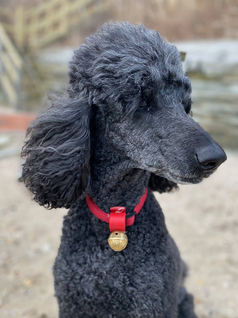 Collar Bell - Black #2