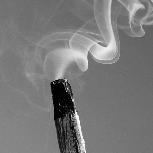 Palo Santo All-Natural Botanical Perfume Oil