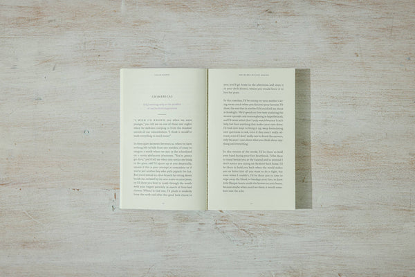 The Words We Left Behind