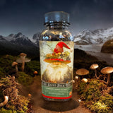 Olde Saint mushroom Nick Vintage Victorian Christmas Tea