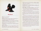 Hidden Meaning of Birds--A Spiritual Field Guide by Arin Murphy-Hiscock: Paperback; 240 pages / English