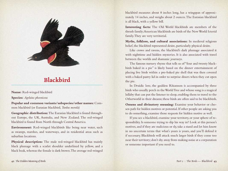 Hidden Meaning of Birds--A Spiritual Field Guide by Arin Murphy-Hiscock