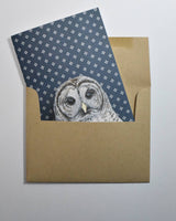 Barred Owl Greeting Card