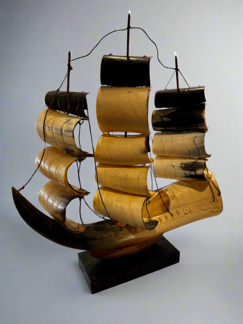 Curious Horn Ships of the Seas