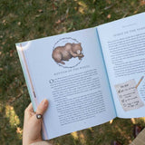 Wheel of the Year by Fiona  Cook: Hardcover; 256 pages / English