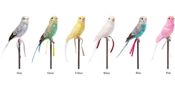 Amma the Budgie