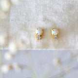 Julia Studs