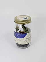 Blueberry Lemon Mint Cocktail Infusion Kit