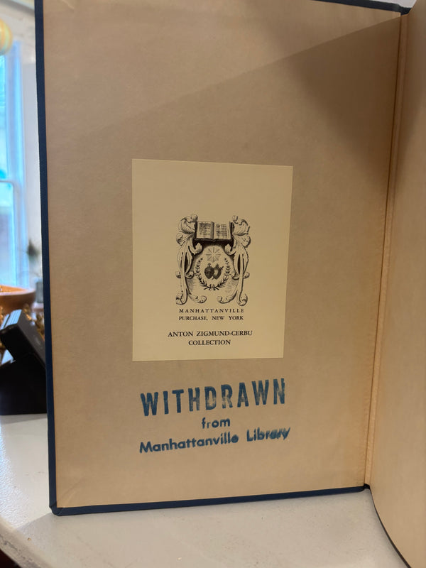 Die Dreihundert Monchsgebote Des Chinesischan Taoismus - Rare - German Language
