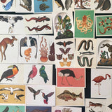 Vintage Styled Animal Postcards Beautiful Illustrations| Set: 10