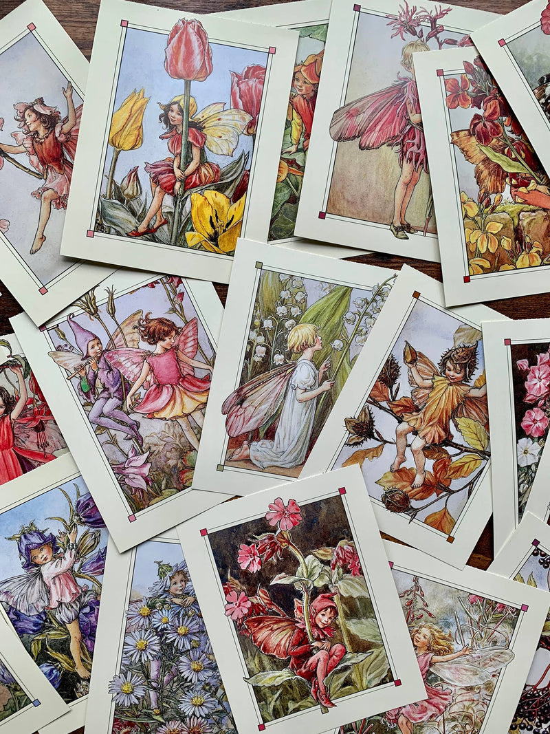 Flower Fairy Postcard