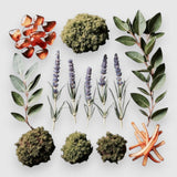 Lavender Oak: Eau De Parfum: Full Size Spray Parfum