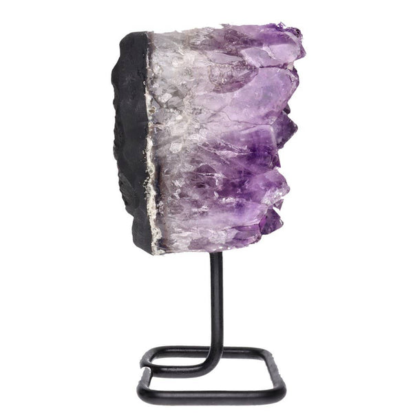 The Evolution Amethyst on Stand