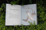 Ornithography by Jessica Roux: Hardcover; 224 pages / English